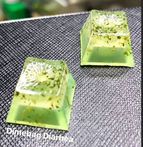 Dimebag Diarhea