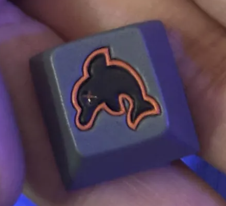 Dead Flipper