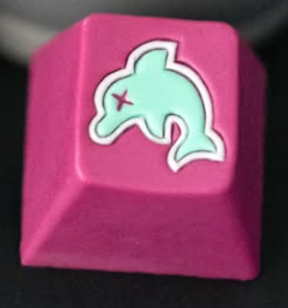 Dead Flipper