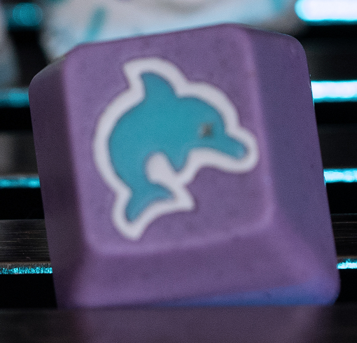 Flipped Flipper