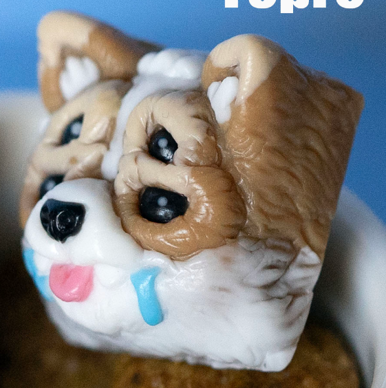Contaminated Corgi