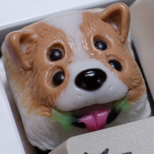 Contaminated Corgi