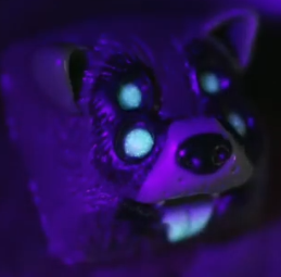 Night Sight