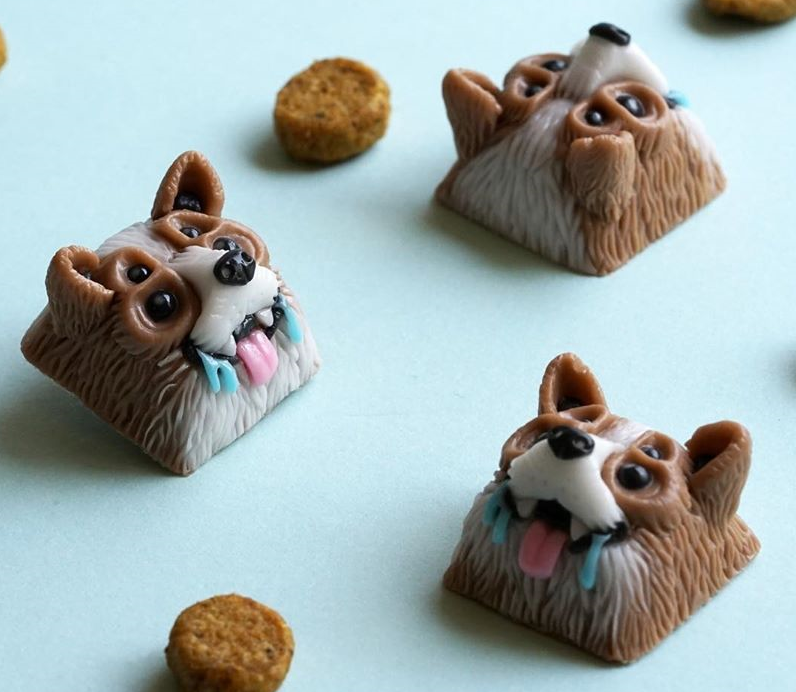 Contaminated Corgi