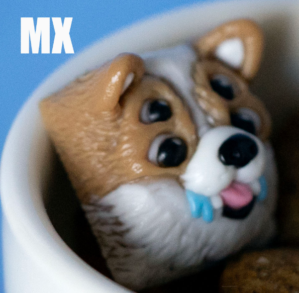 Contaminated Corgi