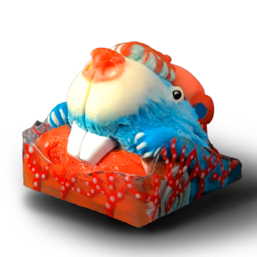 Coral