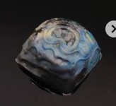 Bloomin' Algae (Mad Marbled March Magnets)