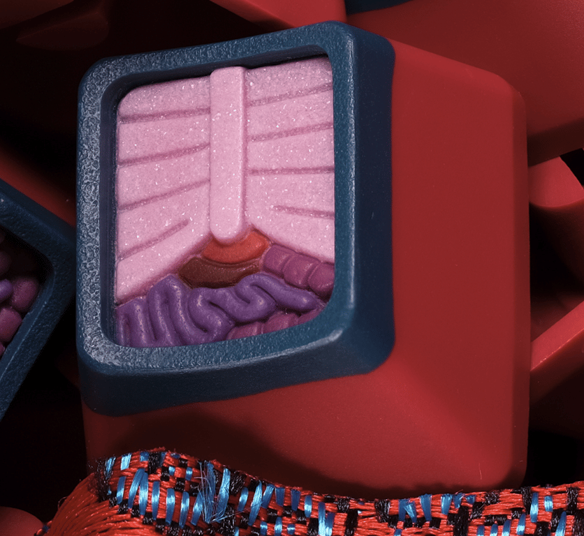 Autopsy