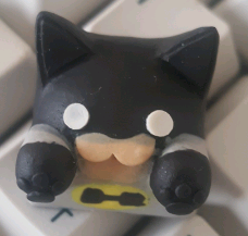 Cat-man