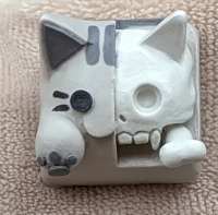Pusheen