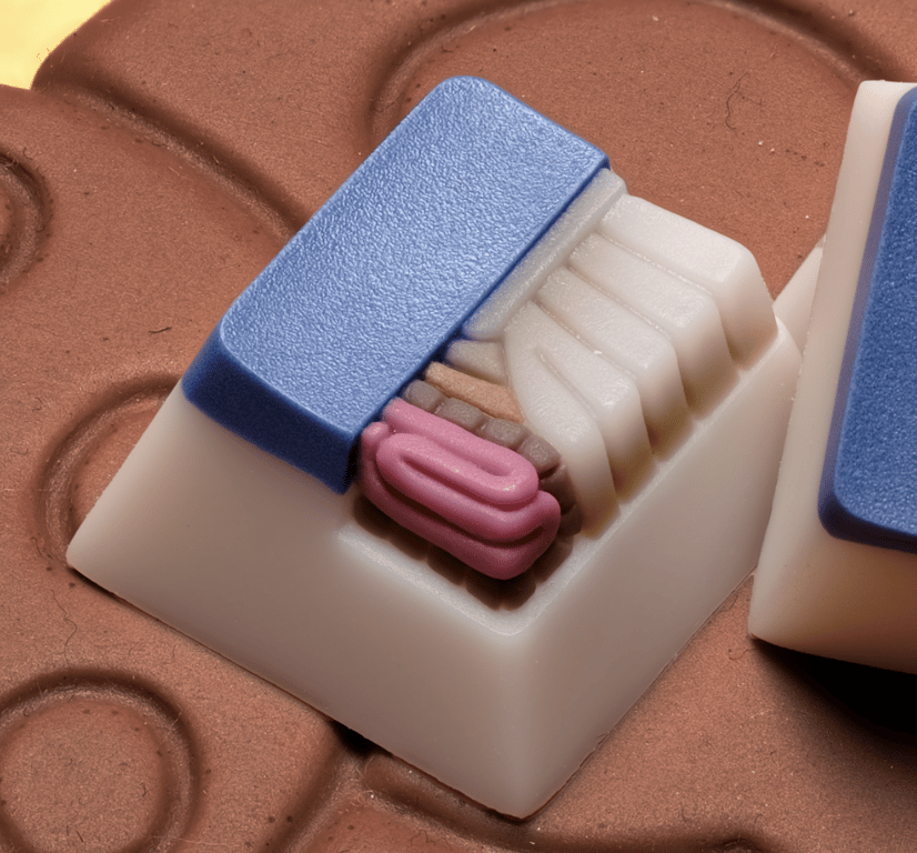 Vespucci (April 2025