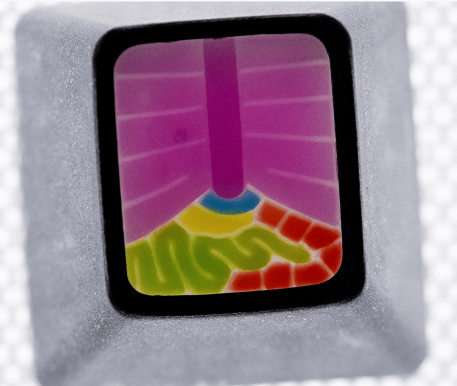 Terminal Night Fever