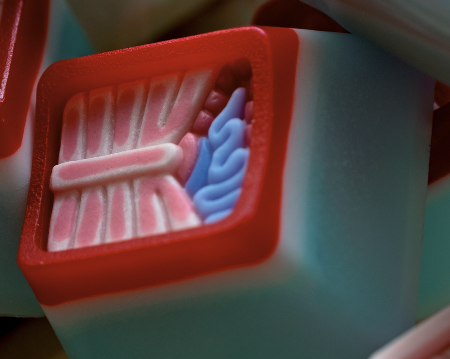 Big Rock Candy Mountain