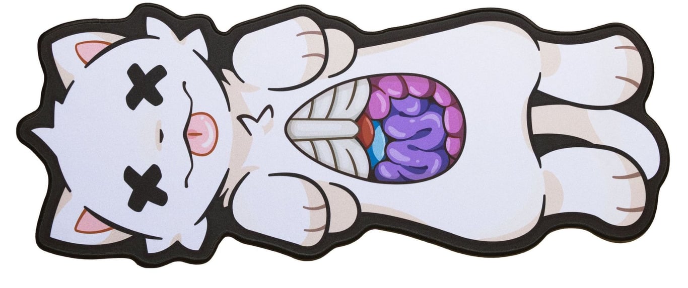 Autopsy
