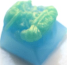 Reef or Madness? - Indoors