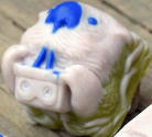 AUreolas
