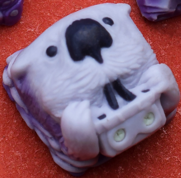 Purple Helmet Warrior