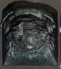 Super Silver