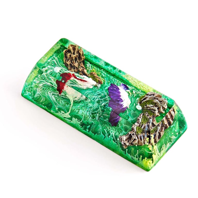 Sarai Commodore / 2.25u (SA profile R3)