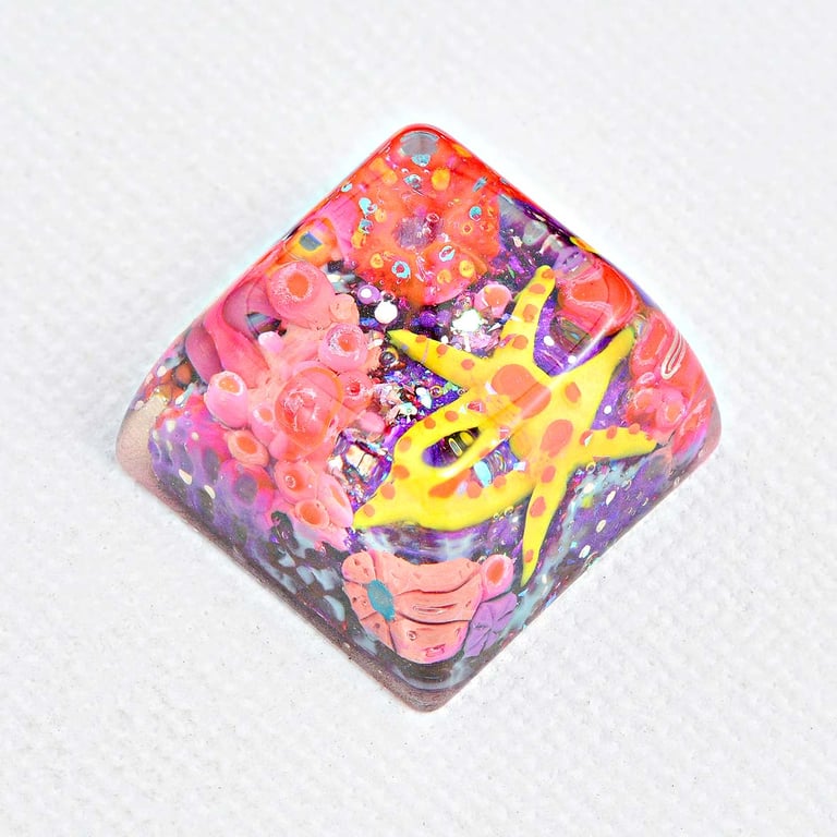 The Star Next Door (SA profile R3 - 1u)
