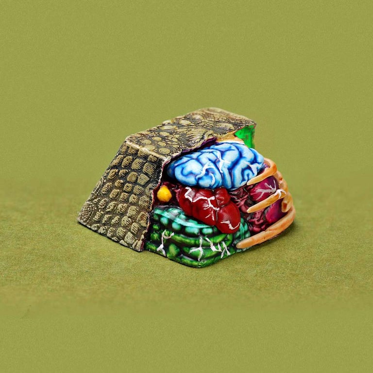 Reptile-ish / Anatomy Academy (Cherry)