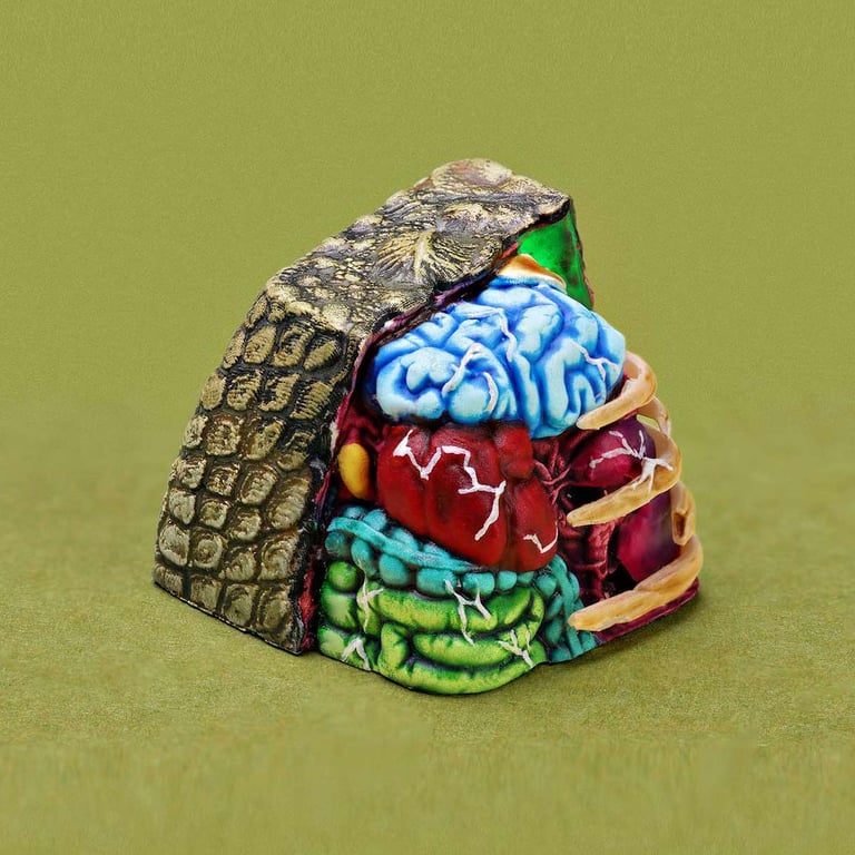 Reptile-ish / Anatomy Academy (SA R1)
