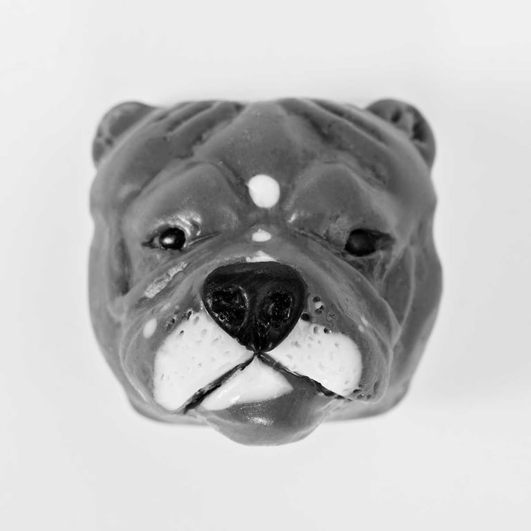 Pitbull Dog