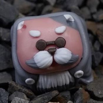 Pink Gray
