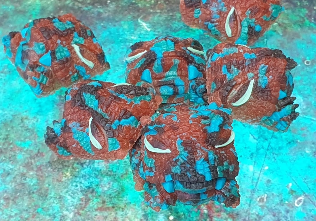 Cu