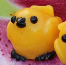 Pollinator