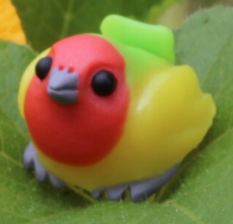 Saffron Finch