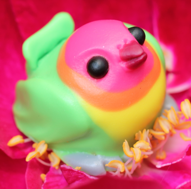 Red-Headed Lovebird