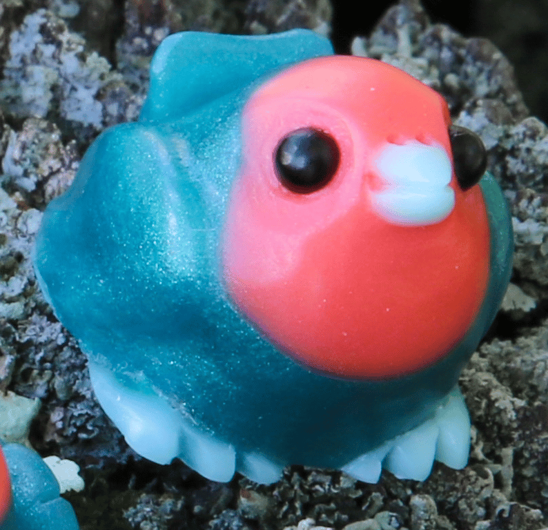Coral Reef