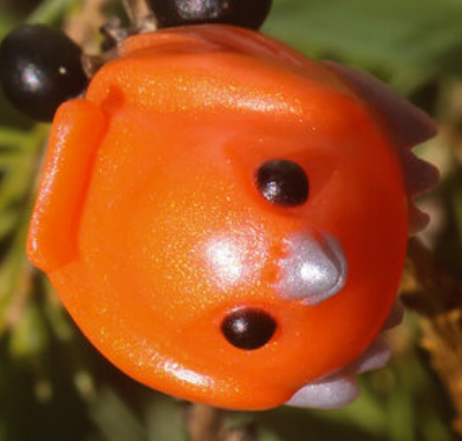 Solar Scorch