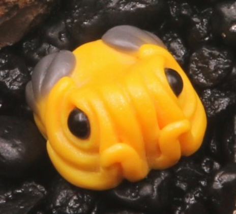 Yellow Tang