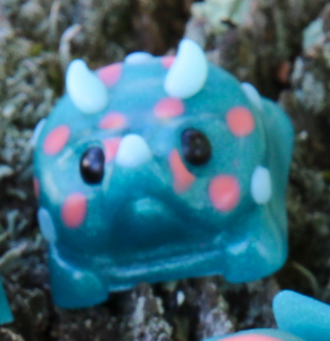 Coral Reef