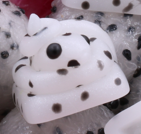 Fresh Dragonfruit