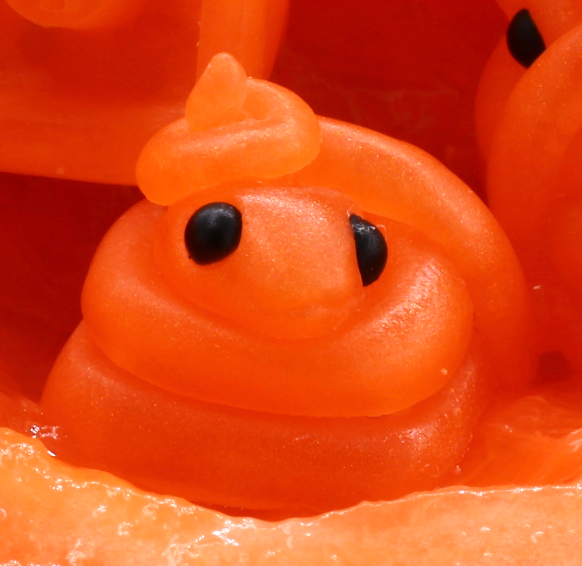 Juicy Cantaloupe