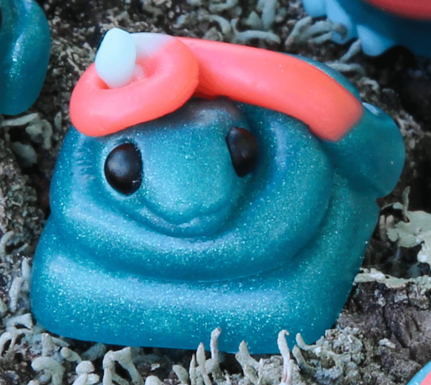 Coral Reef