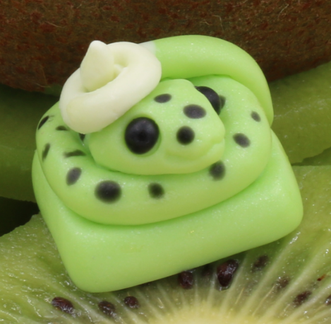 Sliced Kiwi