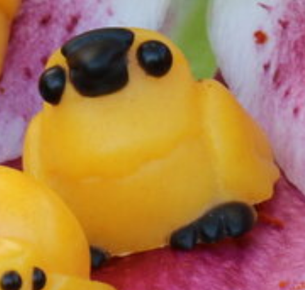 Pollinator