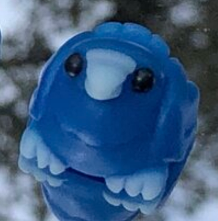ROYGBV (Blue)