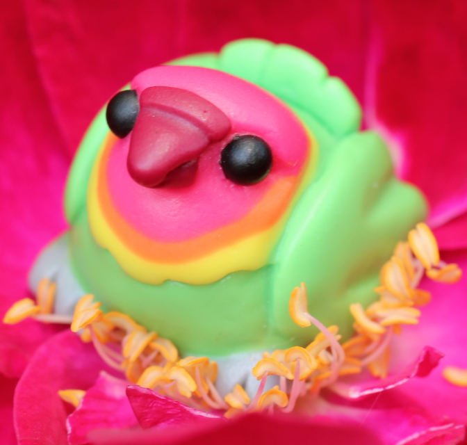Red-Headed Lovebird