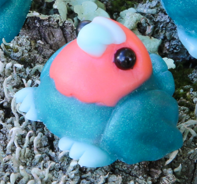 Coral Reef