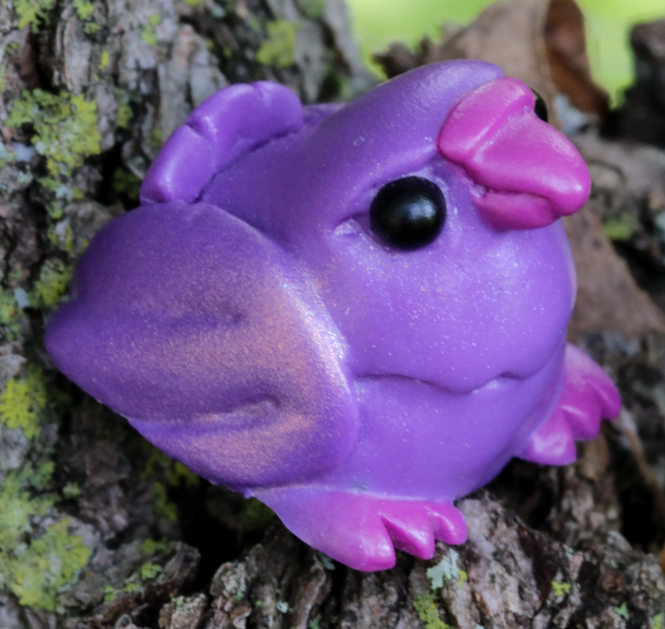 Shimmering Plum