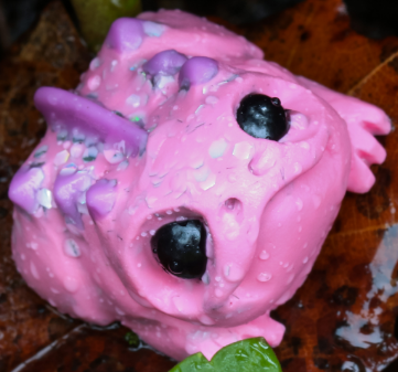Fairy Sprinkles