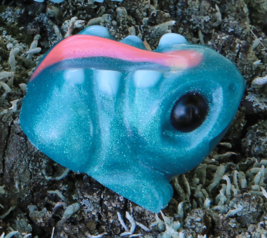 Coral Reef