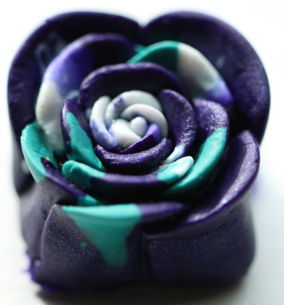 Violet Vision