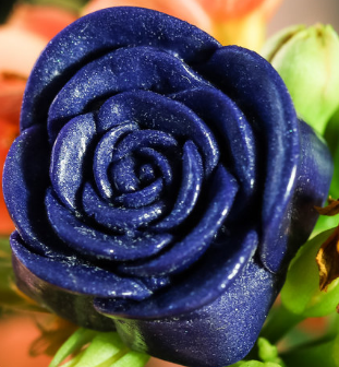 Violet Delights