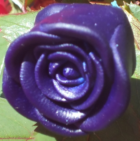Royal Purple